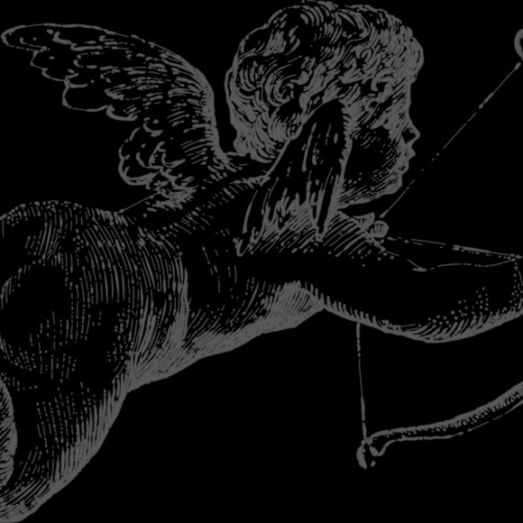 Meet your Posher, Alma - Picture 1 of 1